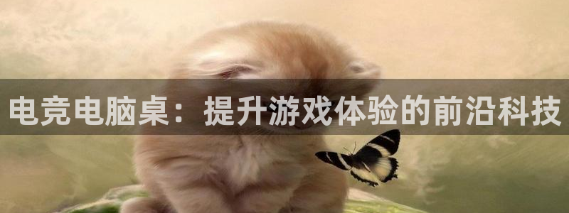 米兰电竞网址：电竞电脑桌：提升游戏体验的前沿科技