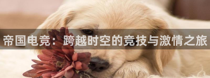 米兰电竞在线官网：帝国电竞：跨越时空的竞技与激情之旅