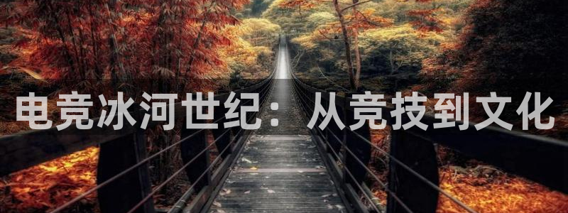 米兰电竞在线：电竞冰河世纪：从竞技到文化