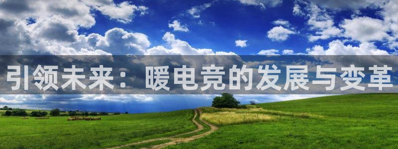 米兰电竞网页版入口：引领未来：暖电竞的发展与变革