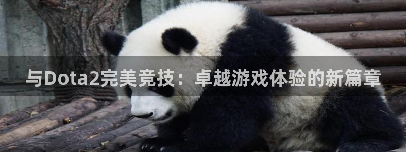 米兰电竞平台官网：与Dota2完美竞技：卓越游戏体验的新篇章