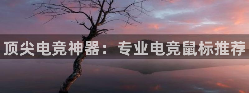 米兰电竞网站人口：顶尖电竞神器：专业电竞鼠标推荐
