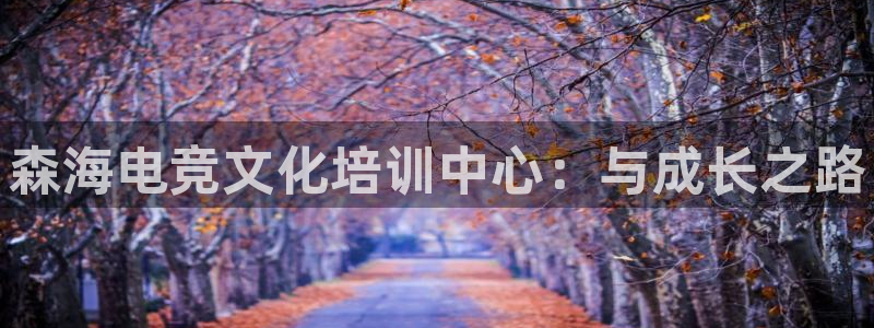 米兰电竞体育：森海电竞文化培训中心：与成长之路