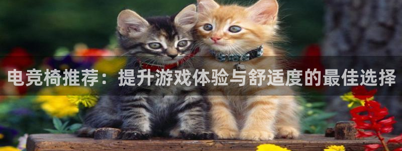 米兰电竞体育：电竞椅推荐：提升游戏体验与舒适度的最佳选择