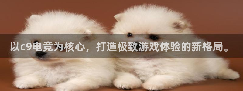 米兰电竞平台：以c9电竞为核心，打造极致游戏体验的新格局。