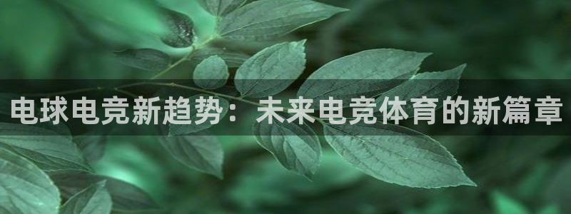 米兰电竞平台：电球电竞新趋势：未来电竞体育的新篇章