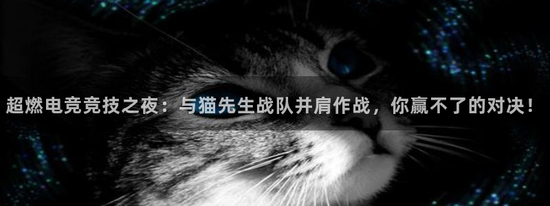 米兰电竞全站：超燃电竞竞技之夜：与猫先生战队并肩作战，你赢不了的对决！