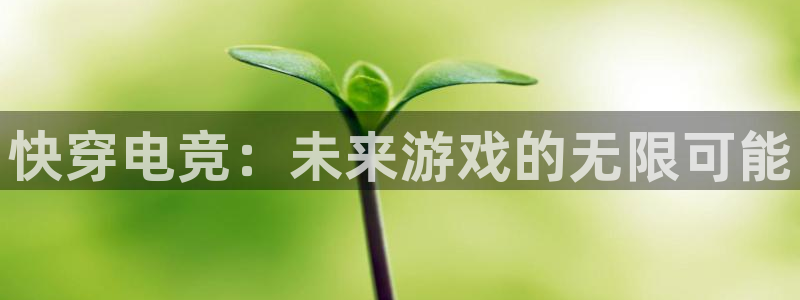 米兰电竞首页：快穿电竞：未来游戏的无限可能