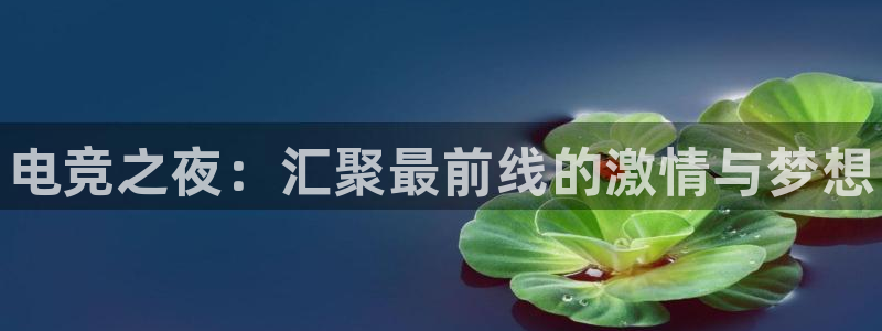 米兰电竞官方网站：电竞之夜：汇聚最前线的激情与梦想