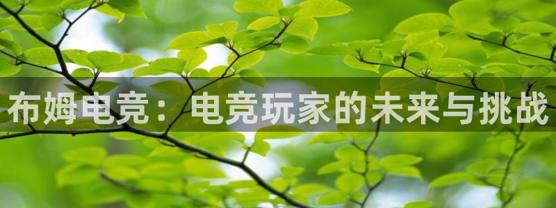 米兰电竞app：布姆电竞：电竞玩家的未来与挑战