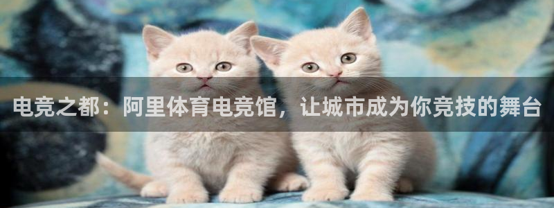 米兰电竞app：电竞之都：阿里体育电竞馆，让城市成为你竞技的舞台