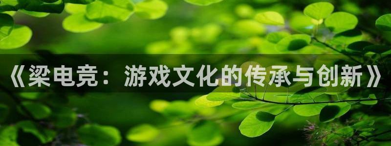 米兰电竞官网下载：《梁电竞：游戏文化的传承与创新》
