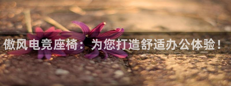 米兰电竞游戏：傲风电竞座椅：为您打造舒适办公体验！