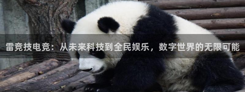 米兰电竞登录入口：雷竞技电竞：从未来科技到全民娱乐，数字世界的无限可能
