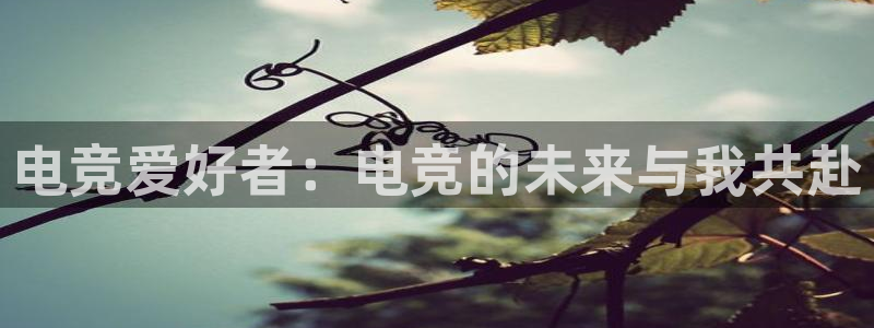 米兰电竞：电竞爱好者：电竞的未来与我共赴