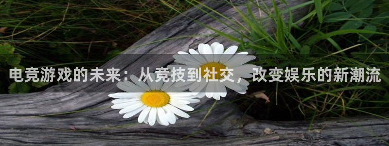 米兰电竞平台官网：电竞游戏的未来：从竞技到社交，改变娱乐的新潮流