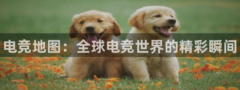 米兰电竞登录入口：电竞地图：全球电竞世界的精彩瞬间