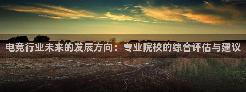 米兰电竞游戏：电竞行业未来的发展方向：专业院校的综合评估与建议