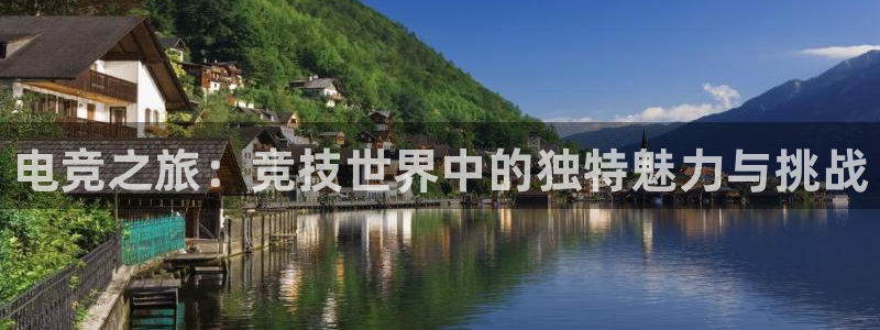 米兰电竞在线：电竞之旅：竞技世界中的独特魅力与挑战