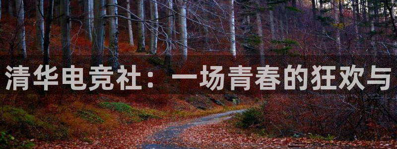 米兰电竞在线官网：清华电竞社：一场青春的狂欢与