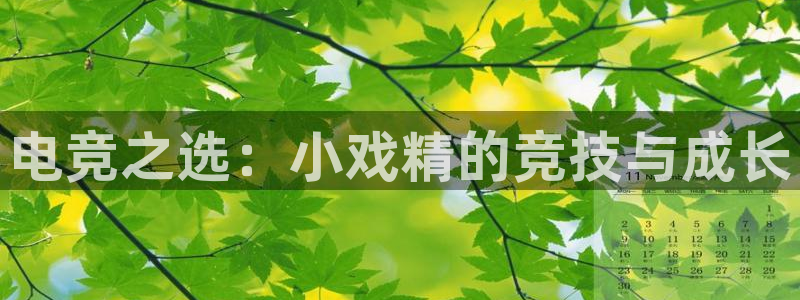 米兰电竞官网：电竞之选：小戏精的竞技与成长