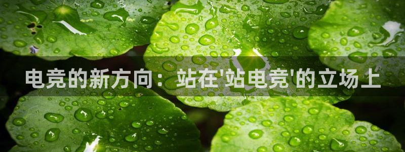 米兰电竞体育：电竞的新方向：站在\'站电竞\'的立场上