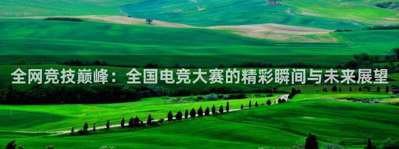 米兰电竞游戏：全网竞技巅峰：全国电竞大赛的精彩瞬间与未来展望