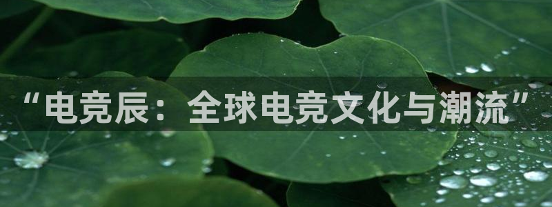 米兰电竞官方网站：“电竞辰：全球电竞文化与潮流”