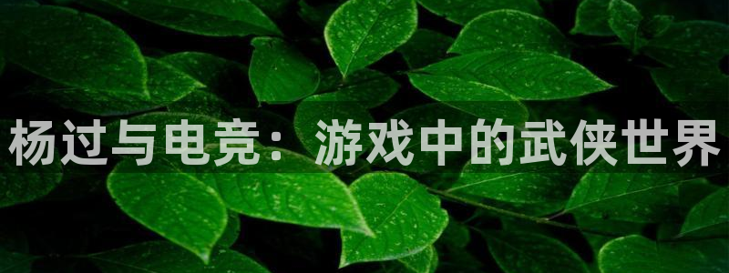 米兰电竞网站：杨过与电竞：游戏中的武侠世界