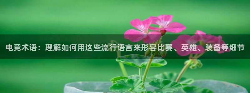米兰电竞app：电竞术语：理解如何用这些流行语言来形容比赛、英雄、装备等细节