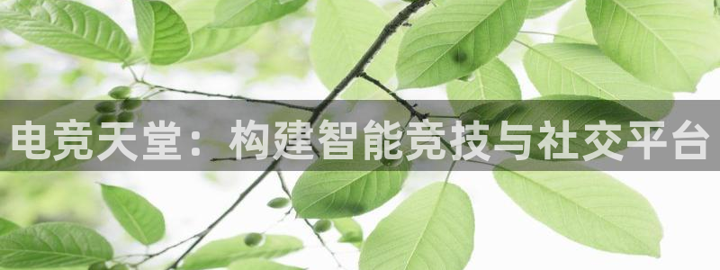 米兰电竞游戏：电竞天堂：构建智能竞技与社交平台