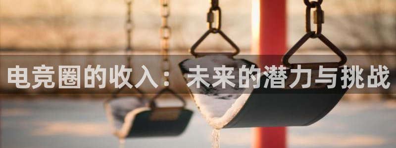 米兰电竞网址：电竞圈的收入：未来的潜力与挑战
