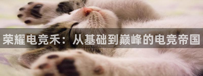 米兰电竞会不会不出款：荣耀电竞禾：从基础到巅峰的电竞帝国