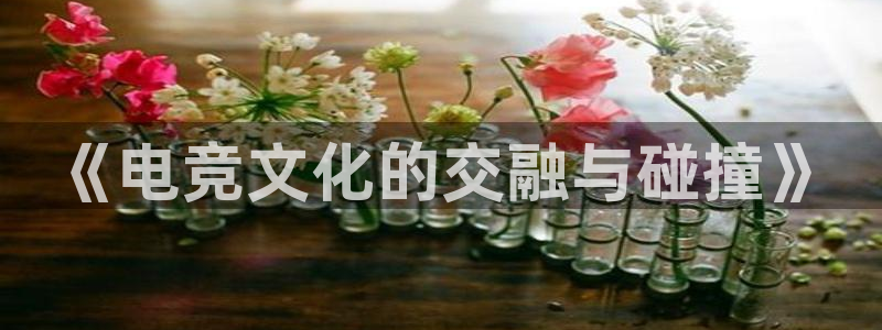 米兰电竞app：《电竞文化的交融与碰撞》