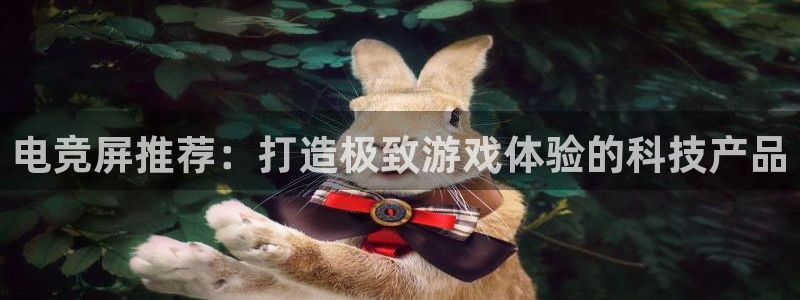 米兰电竞会不会不出款：电竞屏推荐：打造极致游戏体验的科技产品