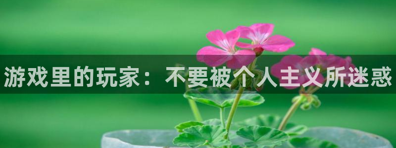 米兰电竞全站：游戏里的玩家：不要被个人主义所迷惑