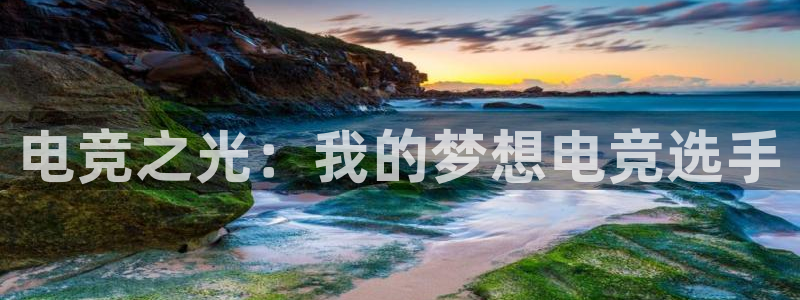 米兰电竞网站入口：电竞之光：我的梦想电竞选手