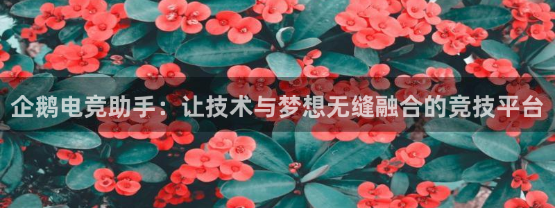 米兰电竞游戏：企鹅电竞助手：让技术与梦想无缝融合的竞技平台