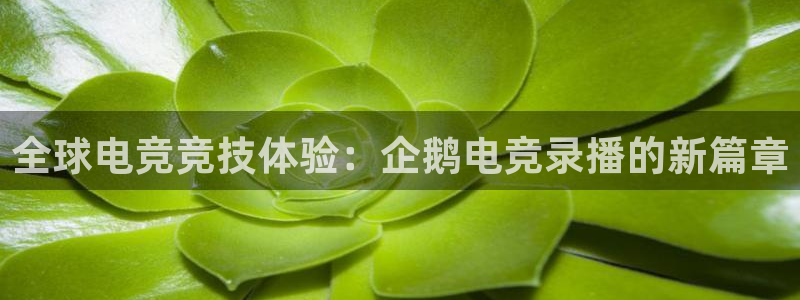 米兰电竞首页：全球电竞竞技体验：企鹅电竞录播的新篇章